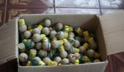 Mua bán hàng chục kg vật liệu nổ tại cửa hàng xăng dầu