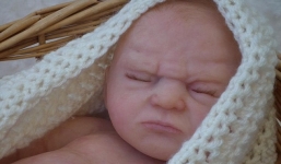 Cận cảnh 'búp bê cau có' giống Hoàng tử nhí Anh có giá 50 triệu đồng