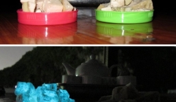 Quảng Ninh: Giò lụa phát sáng bất thường trong đêm