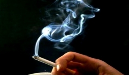 Cận cảnh sức phá hoại phổi kinh khủng của thuốc lá