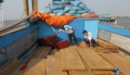 Tịch thu lô gỗ nhập lậu trị giá trên 1,3 tỷ đồng