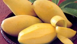 Những loại quả rẻ tiền nhưng cực tốt trong ngày hè