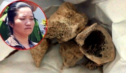 Không thể giám định ADN xương người trong vườn nhà bí thư xã