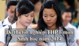 Đề thi tốt nghiệp THPT môn Sinh học năm 2014