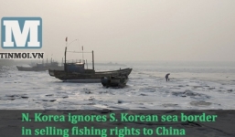 Triều Tiên bán quyền khai thác cá trên biển Hàn Quốc cho Trung Quốc