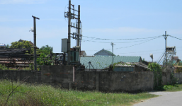 Thiếu nữ xinh đẹp bị người yêu vùi xác suốt 14 năm