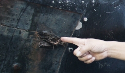 'Sửa tàu xong, chúng tôi lại ra Hoàng Sa đánh bắt'