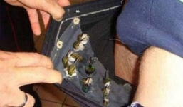 Nhốt 66 con chim quý trong quần để buôn lậu