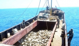 Tàu cá Trung Quốc bị tuần duyên Mỹ bắt giữ