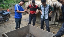 Thực hư lời đồn về 'rắn thành tinh' ở Hà Giang 