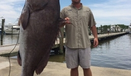 Bắt được cá mú khổng lồ hơn 100 kg, cao quá đầu người