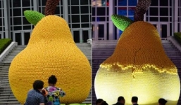 Sốc: Người dân Trung Quốc chen nhau 'hôi của'