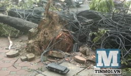 Chiều tối nay, Hà Nội xuất hiện mưa dông, lốc xoáy