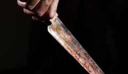 Mệt mỏi vì hôn nhân, vợ dùng dao đâm chồng đang ngủ đến chết 