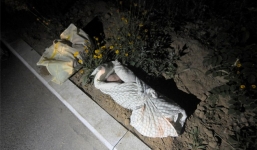 Bên trong một trại trẻ mồ côi ở Trung Quốc