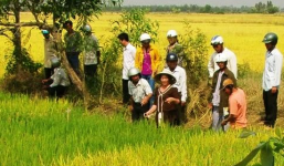 Đâm chết đồng nghiệp, ném xác xuống ruộng lúa phi tang