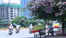 Thời tiết ngày 10/6: Miền Trung nắng nóng dịu dần