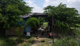 Hà Nội: Nghi án đầu độc khiến vợ chết, chồng cấp cứu