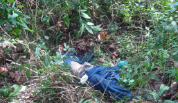 Bản tin 113 – sáng 11/6: Xác chết đang phân hủy trong rừng Tràm…