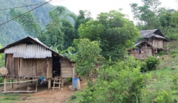 “Rốn” ma túy Mộc Châu - nơi thiếu nữ hoảng hốt khi nghĩ chuyện lấy chồng