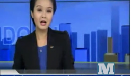 Bản tin tài chính, kinh doanh sáng 11/6/2014