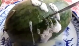 Kinh hãi quả dưa hấu sùi bọt trắng xóa