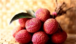 Nguyên tắc ăn vải để không gây nóng, không ngộ độc