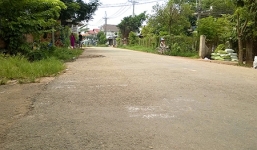 Truy đuổi cẩu tặc, ba thanh niên tử vong vì tổn thương não 