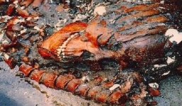 Khám phá những nghĩa địa rùng rợn và đáng sợ nhất thế giới