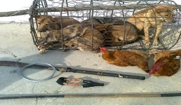 Thêm một vụ 'cẩu tặc' chém người truy đuổi