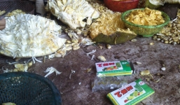 Bơm hóa chất Trung Quốc để mít non chín siêu tốc