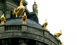 Lâu đài gà dát vàng của đại gia Cầu Giấy: Gà bới trên đầu sẽ loạn