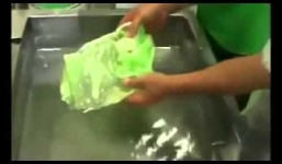 Sốc: Công nghệ làm giả bắp cải như thật của Trung Quốc