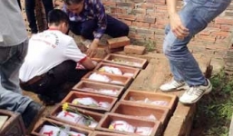 Đau lòng chuyện xác thai nhi ướp lạnh ở Đồi Cốc