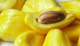 Những nguyên tắc tối kỵ khi ăn mít