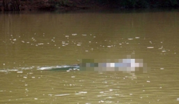 Nóng từ địa phương ngày 18/6: Thanh Hóa - Phát hiện thi thể cụ bà trôi trên sông