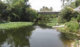 Trốn khỏi nhà tạm giữ, chết dưới ao rau muống