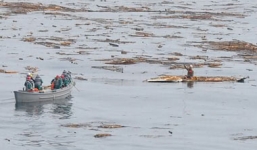 Nam thanh niên bị sóng cuốn trôi khi tắm biển ở Cô Tô