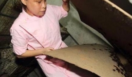 Người phụ nữ nuôi 100.000 con gián làm thuốc chữa bệnh