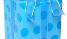  Nữ sinh xinh đẹp là...món quà cho quan chức 