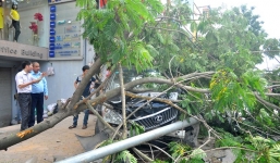 Xế khủng tông nát cột điện, tài xế nguy kịch 