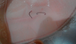 Đã xác định được sinh vật lạ trong áo ngực Trung Quốc?