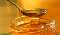 Những sự thật chưa biết về mật ong