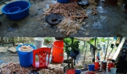 Hãi hùng công nghệ chế biến nem chua Thanh Hóa giữa.... sàn nhà