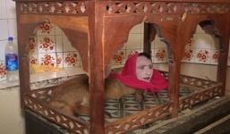 Sinh vật nửa người nửa cáo thu hút hàng ngàn người xem