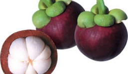 'Thần dược' măng cụt và những tác dụng thần kỳ không nên bỏ qua