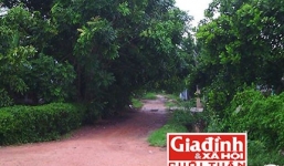 Hoàn cảnh oan nghiệt của người phụ nữ ôm con tự thiêu