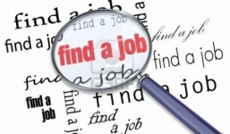 Lập trình viên: Đích ngắm của mọi nhà tuyển dụng