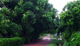 Người mẹ ôm con tự thiêu chưa biết cháu bé đã chết