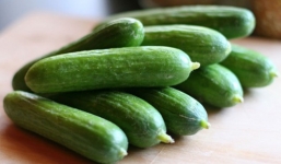 Những tác dụng phụ cực nguy hiểm của dưa chuột